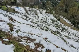 იყიდება მიწის ნაკვეთი, სასოფლო - სამეურნეო, ყოროლისთავი