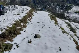 იყიდება მიწის ნაკვეთი, სასოფლო - სამეურნეო, ყოროლისთავი