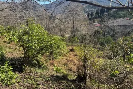 იყიდება მიწის ნაკვეთი, სასოფლო - სამეურნეო, წინსვლა, ჩელტა