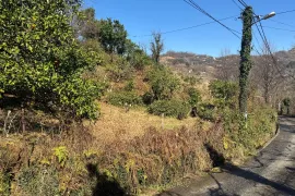 იყიდება მიწის ნაკვეთი, სასოფლო - სამეურნეო, წინსვლა, ჩელტა