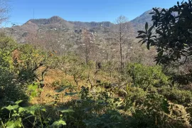 იყიდება მიწის ნაკვეთი, სასოფლო - სამეურნეო, წინსვლა, ჩელტა