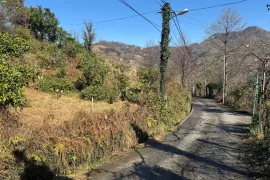 იყიდება მიწის ნაკვეთი, სასოფლო - სამეურნეო, წინსვლა, ჩელტა