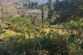 იყიდება მიწის ნაკვეთი, სასოფლო - სამეურნეო, წინსვლა, ჩელტა