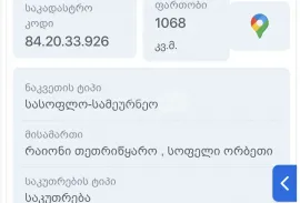 იყიდება მიწის ნაკვეთი, სასოფლო - სამეურნეო, ორბეთი 