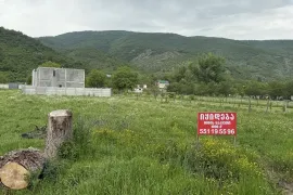 იყიდება მიწის ნაკვეთი, სასოფლო - სამეურნეო, ნავაზი