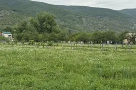 იყიდება მიწის ნაკვეთი, სასოფლო - სამეურნეო, ნავაზი