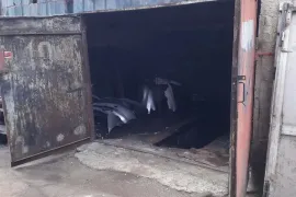 Аренда, Гараж, Исани