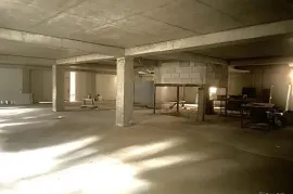 იყიდება, სასაწყობე ფართი, ისანი