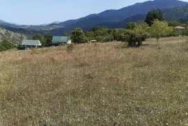 იყიდება მიწის ნაკვეთი, სასოფლო - სამეურნეო, ცემი