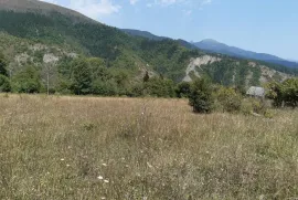 იყიდება მიწის ნაკვეთი, სასოფლო - სამეურნეო, ცემი