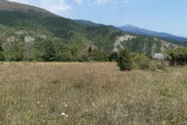 იყიდება მიწის ნაკვეთი, სასოფლო - სამეურნეო, ცემი