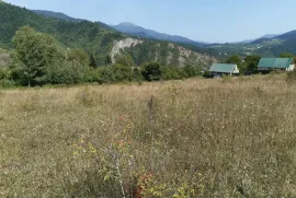 იყიდება მიწის ნაკვეთი, სასოფლო - სამეურნეო, ცემი