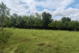 იყიდება მიწის ნაკვეთი, სასოფლო - სამეურნეო, ძველი სენაკი