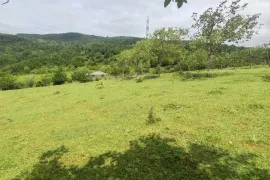 იყიდება მიწის ნაკვეთი, სასოფლო - სამეურნეო, ძველი სენაკი