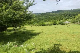 იყიდება მიწის ნაკვეთი, სასოფლო - სამეურნეო, ძველი სენაკი