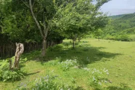 იყიდება მიწის ნაკვეთი, სასოფლო - სამეურნეო, ძველი სენაკი