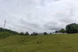 იყიდება მიწის ნაკვეთი, სასოფლო - სამეურნეო, ძველი სენაკი