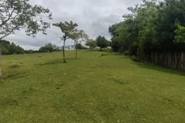 იყიდება მიწის ნაკვეთი, სასოფლო - სამეურნეო, ძველი სენაკი