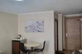 იყიდება ბინა, 1 ოთახიანი, ახალი აშენებული, ბორჯომი, ბაკურიანი