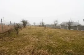 იყიდება მიწის ნაკვეთი, ტაბახმელა