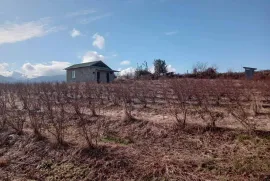 იყიდება მიწის ნაკვეთი, სასოფლო - სამეურნეო, ლიხაური