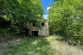 იყიდება სახლი, 4 ოთახიანი, თეთრიწყარო, წყლულეთი