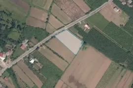 იყიდება მიწის ნაკვეთი, სასოფლო - სამეურნეო, ჯიხასკარი