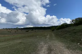 იყიდება მიწის ნაკვეთი, სასოფლო - სამეურნეო, დუშეთი