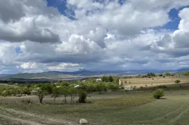 იყიდება მიწის ნაკვეთი, სასოფლო - სამეურნეო, დუშეთი