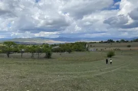 იყიდება მიწის ნაკვეთი, სასოფლო - სამეურნეო, დუშეთი