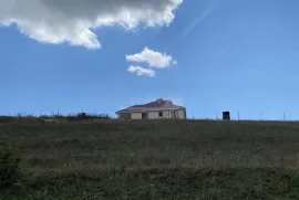 იყიდება მიწის ნაკვეთი, სასოფლო - სამეურნეო, დუშეთი