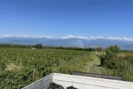 იყიდება მიწის ნაკვეთი, სასოფლო - სამეურნეო, ქვემო ხოდაშენი