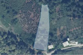 Land For Sale, Agricultural