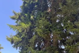 Land For Sale, Agricultural