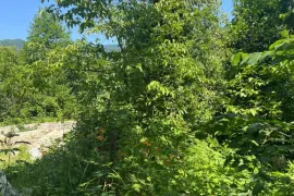 Land For Sale, Agricultural
