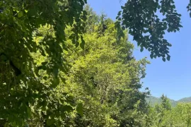 Land For Sale, Agricultural