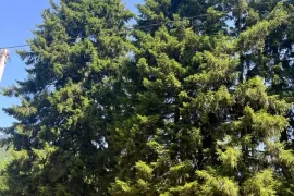 Land For Sale, Agricultural