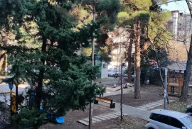 იყიდება ბინა, 5 ოთახიანი, ძველი აშენებული, თბილისი, ვაკე