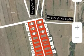 იყიდება მიწის ნაკვეთი, სასოფლო - სამეურნეო, თოლენჯი