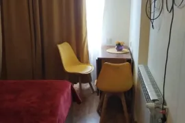 იყიდება ბინა, 1 ოთახიანი, ახალი აშენებული, ბორჯომი, ბაკურიანი