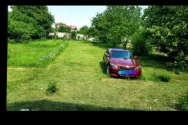 იყიდება მიწის ნაკვეთი, სასოფლო - სამეურნეო, ჯიღაურა