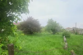 იყიდება მიწის ნაკვეთი, არა სასოფლო - სამეურნეო, გოროვანი