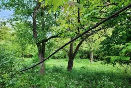 იყიდება სახლი, 7 ოთახიანი, დუშეთი, საშაბურო