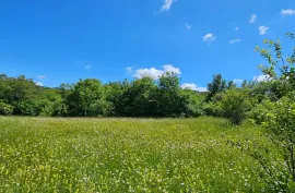 იყიდება მიწის ნაკვეთი, სასოფლო - სამეურნეო, ჯერვალიძეები 