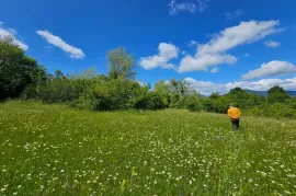 იყიდება მიწის ნაკვეთი, სასოფლო - სამეურნეო, ჯერვალიძეები 