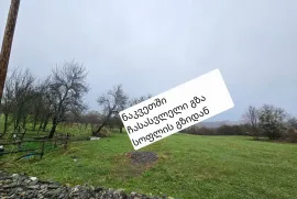 იყიდება მიწის ნაკვეთი, სასოფლო - სამეურნეო, ჯერვალიძეები 