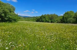 იყიდება მიწის ნაკვეთი, სასოფლო - სამეურნეო, ჯერვალიძეები 