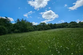 იყიდება მიწის ნაკვეთი, ჯერვალიძეები 