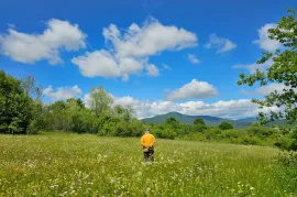 იყიდება მიწის ნაკვეთი, ჯერვალიძეები 