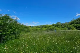 იყიდება მიწის ნაკვეთი, ჯერვალიძეები 